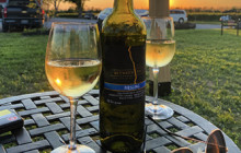 Cellar Door Wine Experience2