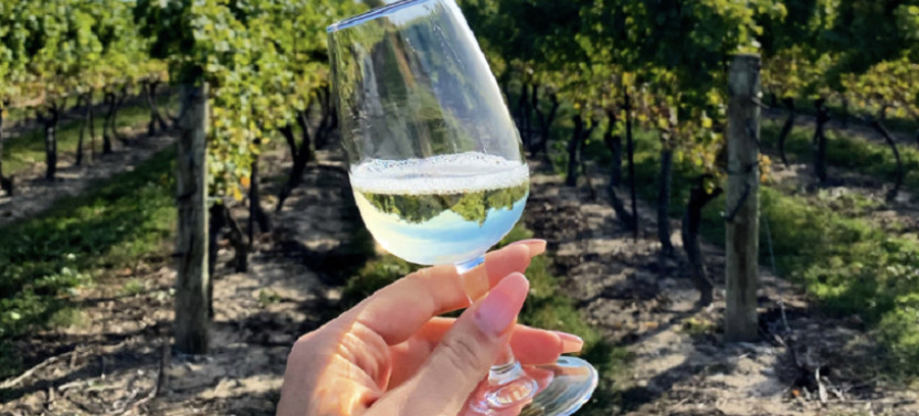 Niagara Wine Country Lunch Tour With Tastings at 4 Wineries