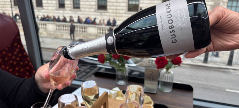London Tour with Sparkling Wine Tasting & Cheese Pairing (Premium Seating)