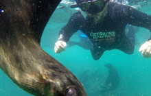 Offshore Adventures6