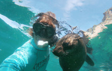Offshore Adventures1