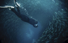 Offshore Adventures2
