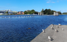 Tour & Taste Galway7