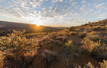 Marvit Tours LLC5