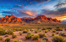 Marvit Tours LLC20