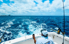 Tulum Snorkel Services5