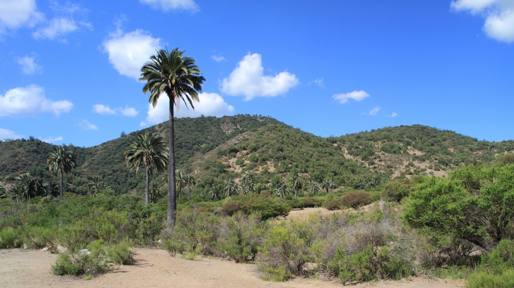 Campana National Park