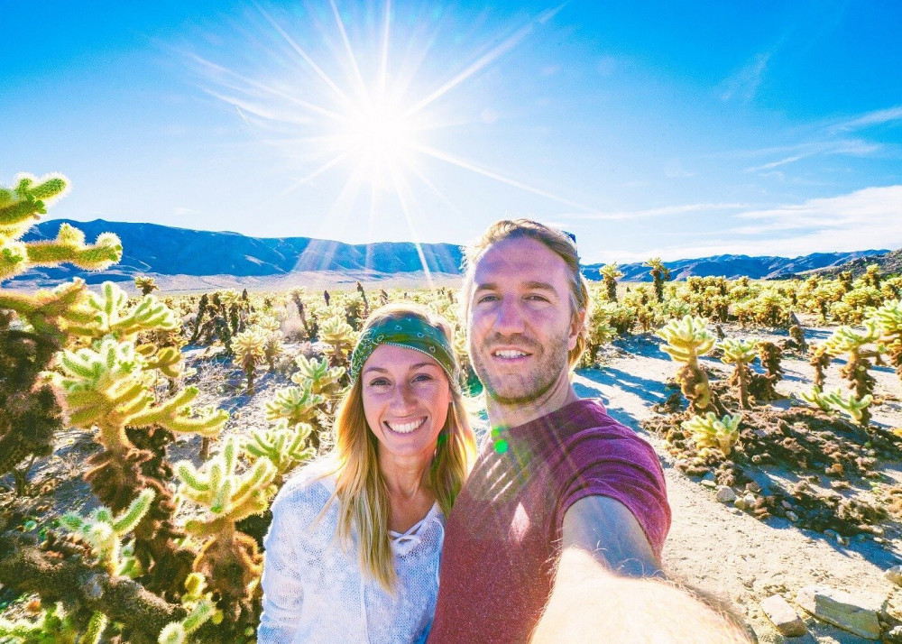 Joshua Tree National Park Small Group Day Tour from Los Angeles