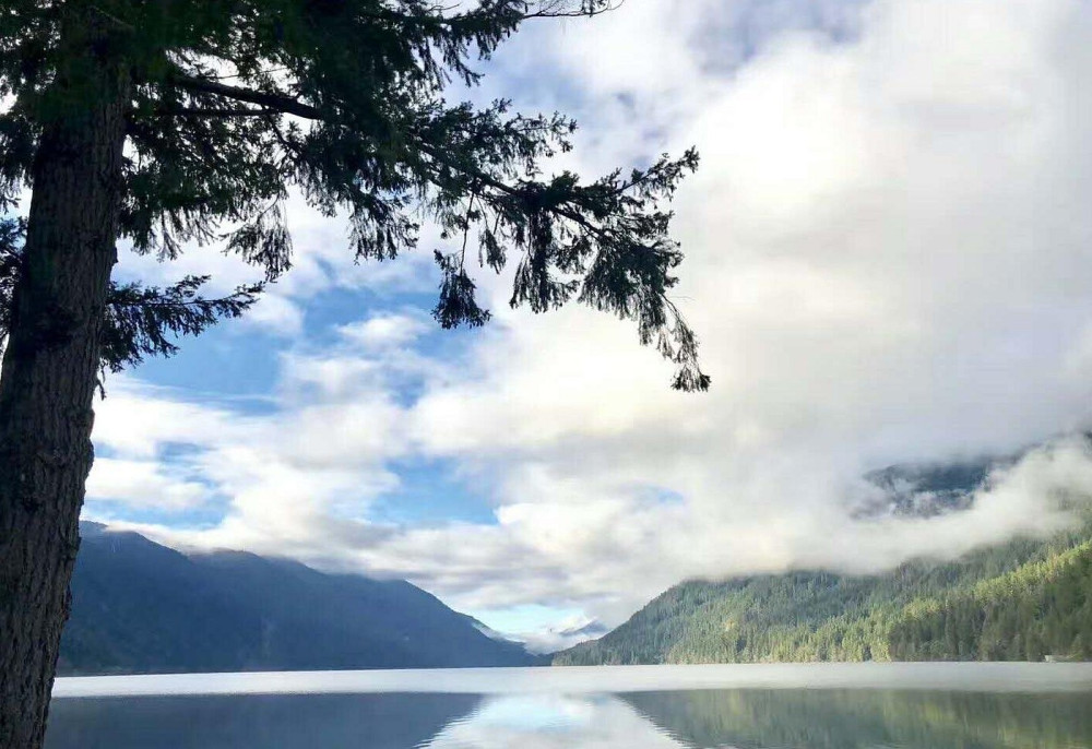 Small Group Olympic National Park Day Tour with Scenic Ferry Ride