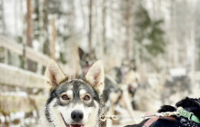 Northern Future5