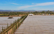 San Juanito1