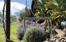 San Juanito11