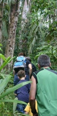 Water Fall Jungle Hike