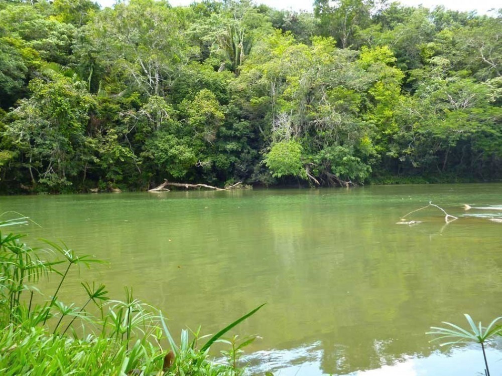Mopan River