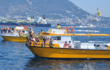 Dolphin Adventure1