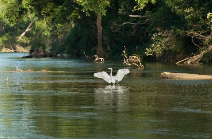 Macal River Canoeing