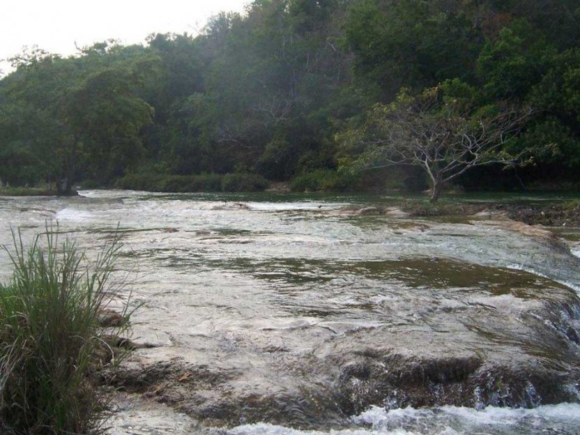 Mopan River Tubing