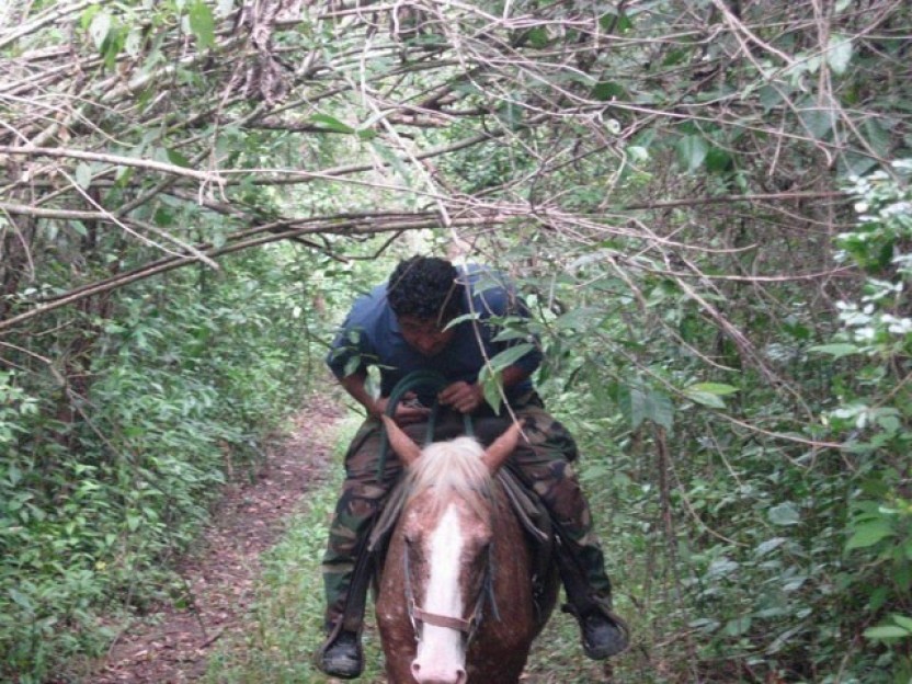 Xunantunich Horseback Ride
