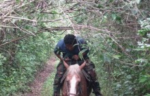 Xunantunich Horseback Ride
