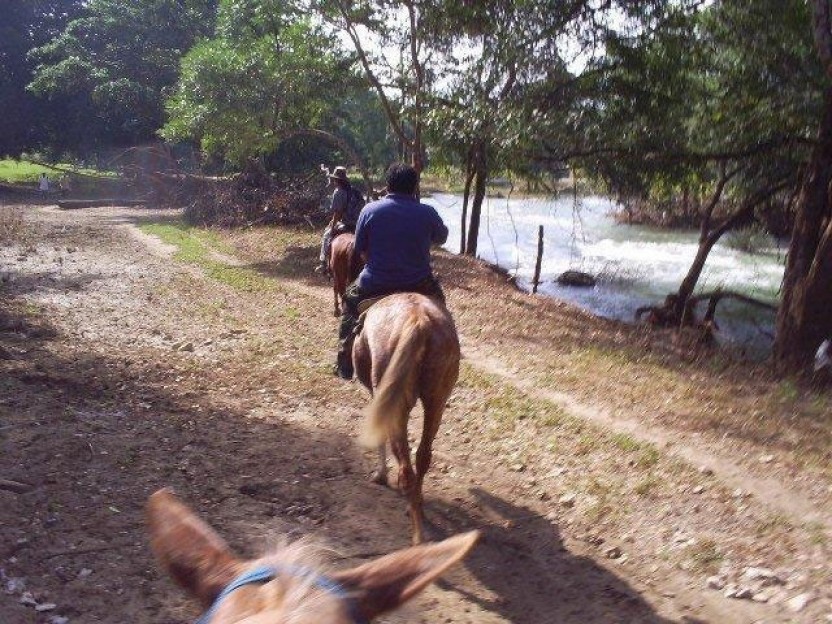Xunantunich Horseback Ride