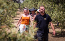 Tour in Mykonian Land4