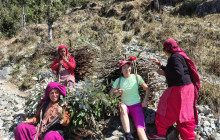 Himachal Bylocals4