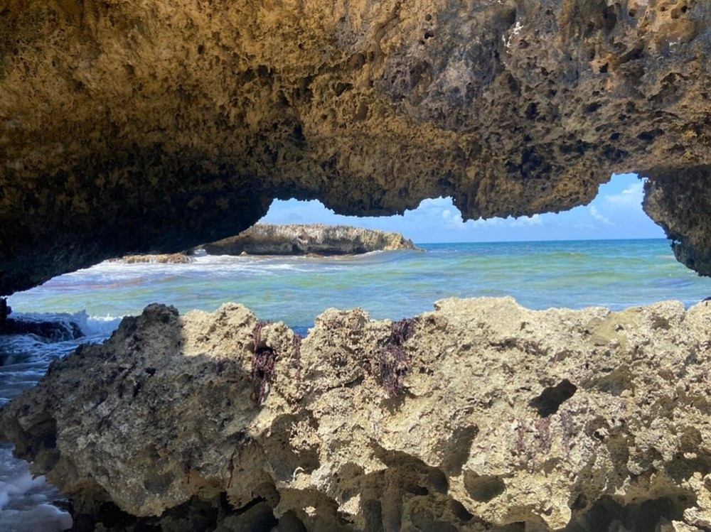 Cozumel Tours Excursions
