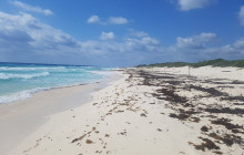 Cozumel Tours Excursions3