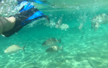 Cozumel Tours Excursions9