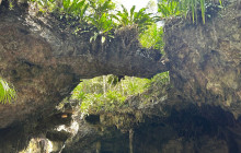 Cozumel Tours Excursions3