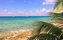 Cozumel Tours Excursions9