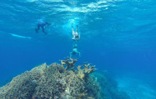 Cozumel Tours Excursions2