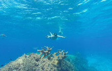 Cozumel Tours Excursions5