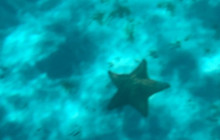 Cozumel Tours Excursions6