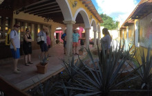 Cozumel Tours Excursions3