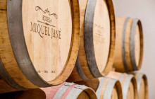 BODEGA MIQUEL JANE3