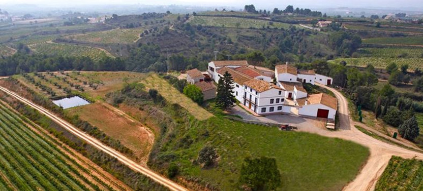 Complete Winery Visit with Wine Tasting and Wine Sampling
