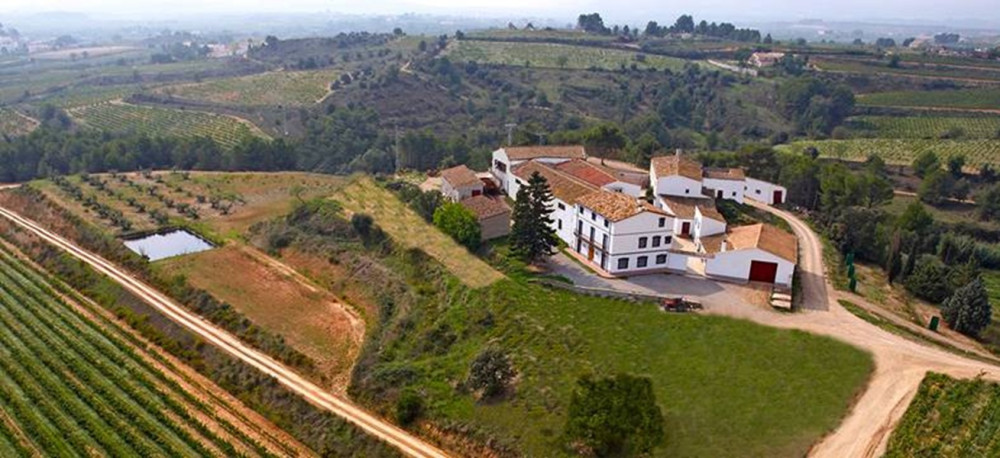Complete Winery Visit with Wine Tasting and Wine Sampling
