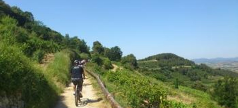 Cycling Route Through the Vineyards, photo 3 of 9