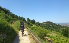 BODEGA MIQUEL JANE5
