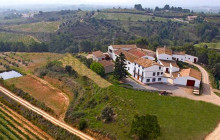 BODEGA MIQUEL JANE5