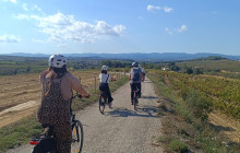BODEGA MIQUEL JANE7