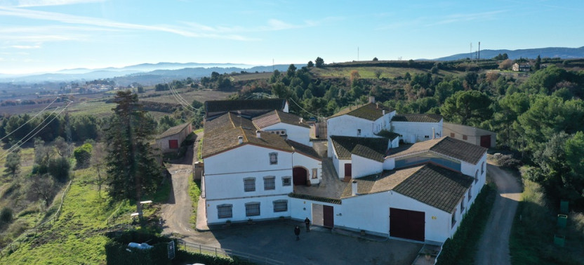 Complete Winery Visit and Horseback Riding Tour in the Penedès, photo 5 of 6