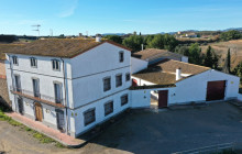 BODEGA MIQUEL JANE4