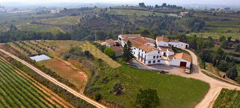 Complete Winery Visit and Horseback Riding Tour in the Penedès, photo 2 of 6