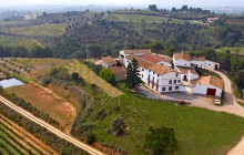 BODEGA MIQUEL JANE2