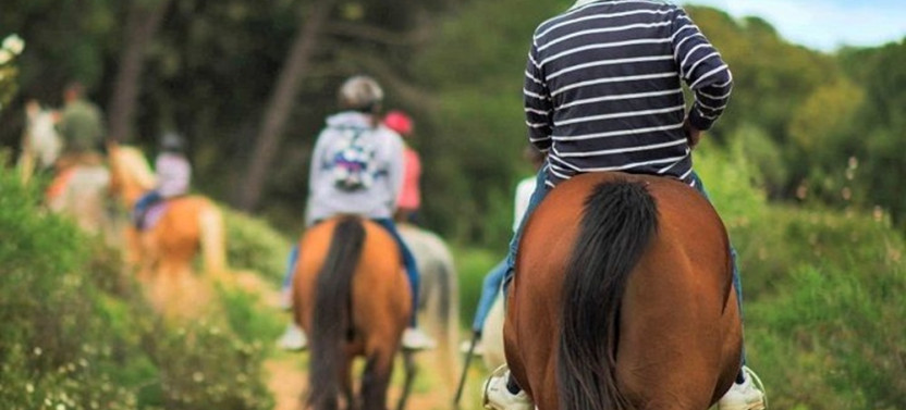Complete Winery Visit and Horseback Riding Tour in the Penedès