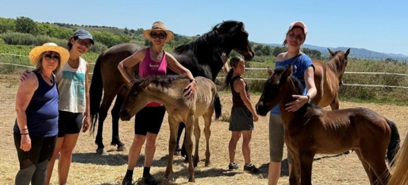 Equine Alchemy Mindfulness Experiences and Winery Visit, photo 4 of 8