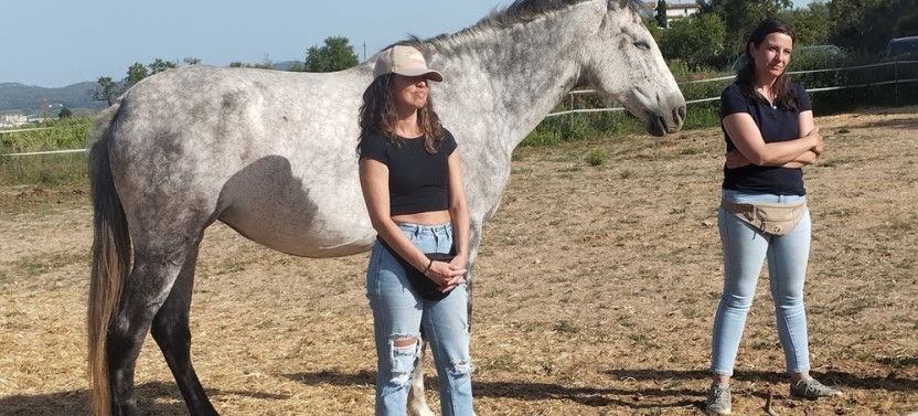 Equine Alchemy Mindfulness Experiences and Winery Visit, photo 5 of 8