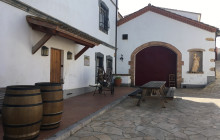BODEGA MIQUEL JANE3